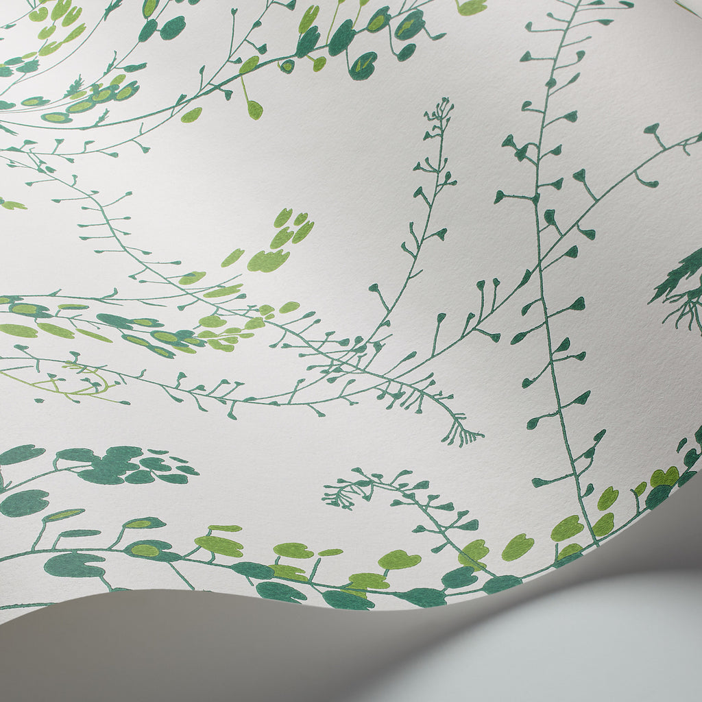 Bladranker Leaf Room Setting | Schumacher Wallpaper