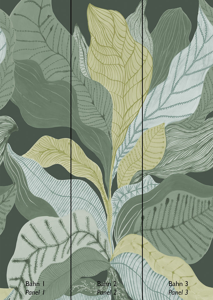 Auri Pistachio