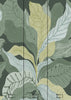 Auri Pistachio