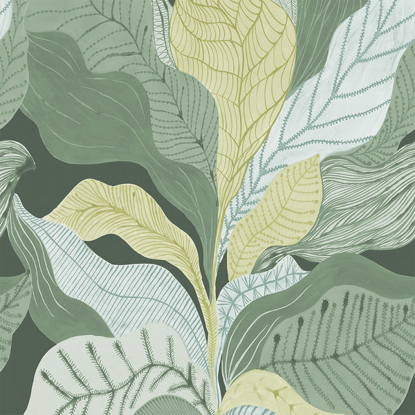 Auri Pistachio | Hohenberger Wallcovering