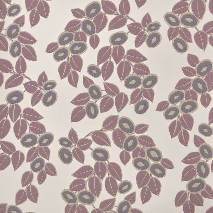 Rosetta Rose Pink