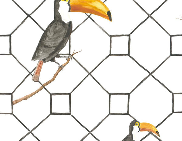 You can Toucan | Coordone Europe