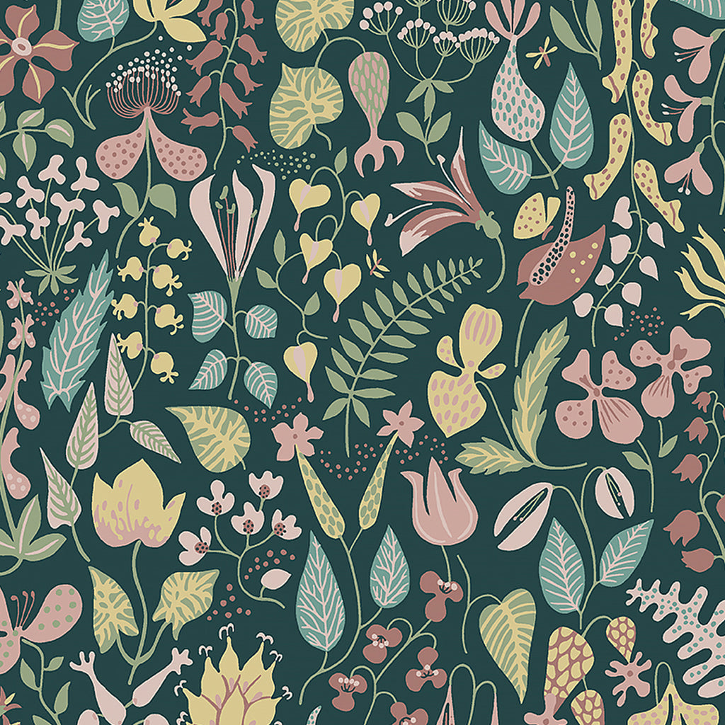 Herbarium, Spruce