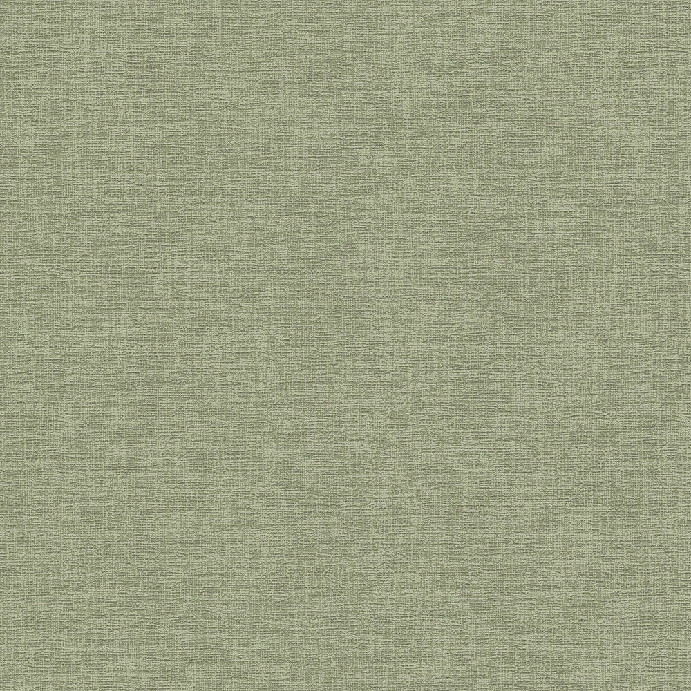 Styleguide Nature 2027 Green Wallcovering | AS Creation