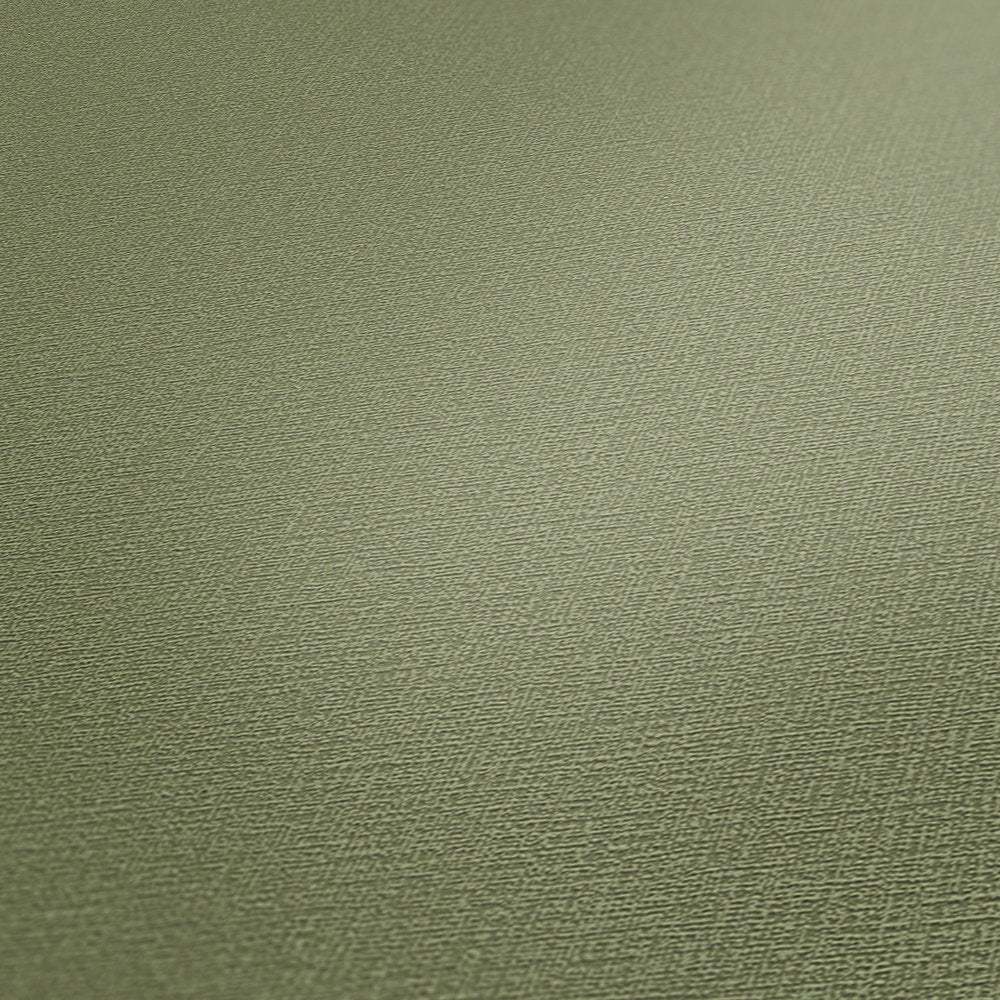 Styleguide Nature 2027 Green Wallcovering | AS Creation