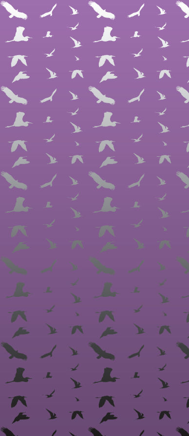 Fiona's Flying Bird Wall Mural - Purple and Silver Mylar - Patte Wallcovering | DW Bespoke Studios