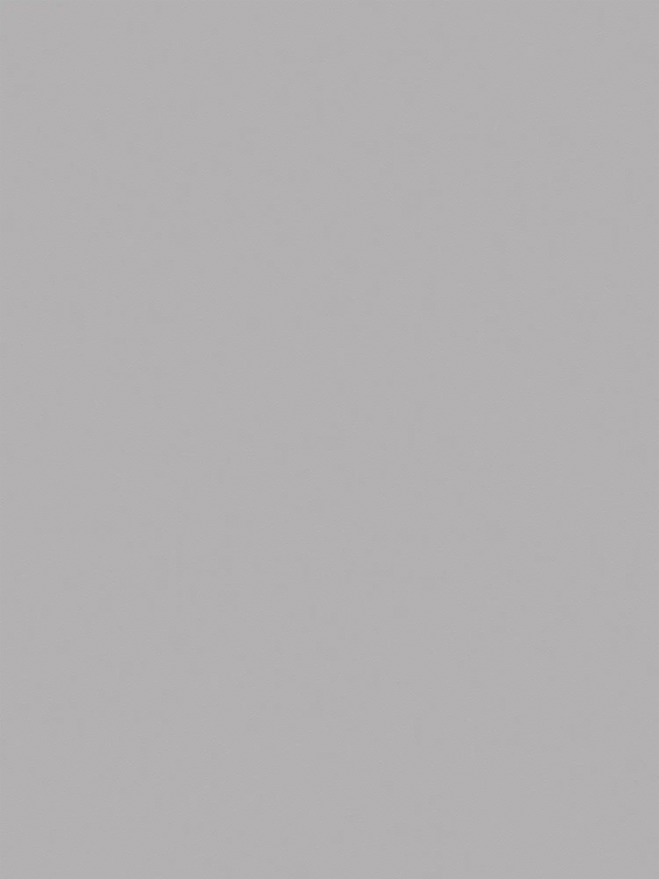 Elite of Shades Gray Wallcovering | AS Creation