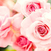 Xxl Unique Pink Wallcovering | AS Creation