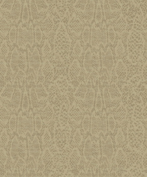 Malibu Skin Wallpaper - Transitional Animal Print - Gold and Beige | Malibu Wallpaper
