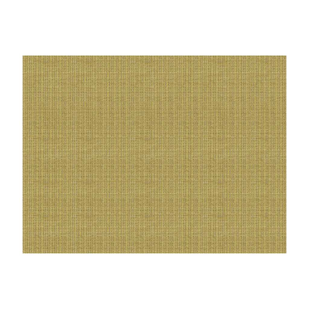 Samples and Purchasing available for Judd - Celery Green By Lee Jofa | James Huniford Express | Texture Upholstery  at Designer Wallcoverings and Fabrics
