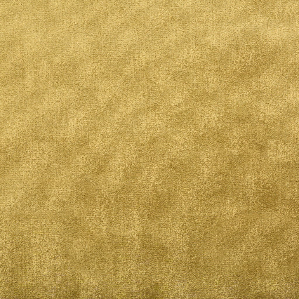 Samples and Purchasing available for Duchess Velvet - Oro Gold By Lee Jofa |  |Solid Texture Upholstery Silk at Designer Wallcoverings and Fabrics