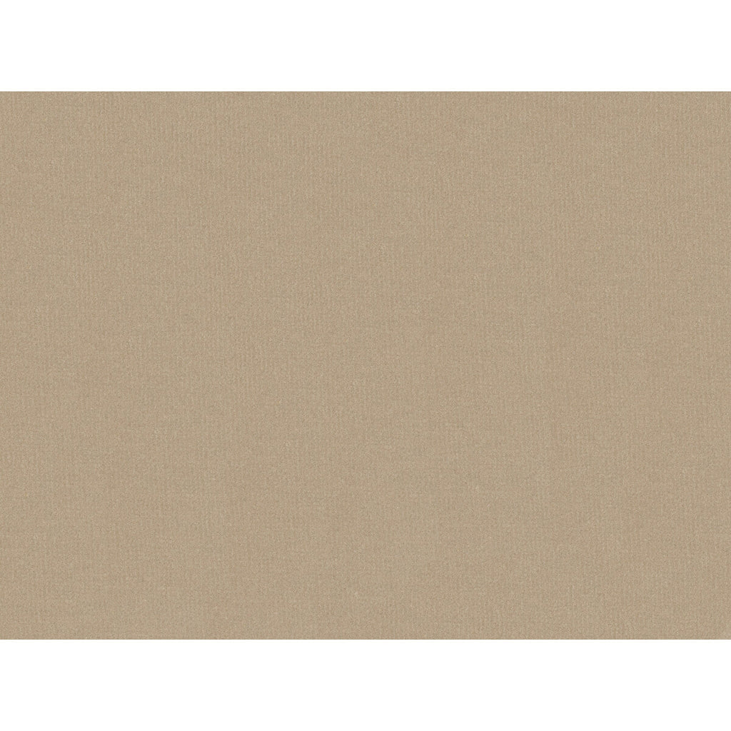 Samples and Purchasing available for Oxford Velvet - Sandstone Light Grey By Lee Jofa |  |Solid Texture Upholstery Velvet at Designer Wallcoverings and Fabrics