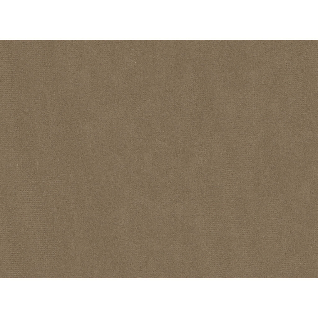 Samples and Purchasing available for Oxford Velvet - Taupe Light Grey By Lee Jofa |  |Solid Texture Upholstery Velvet at Designer Wallcoverings and Fabrics