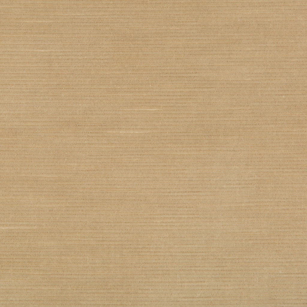 Samples and Purchasing available for Gemma Velvet - Sand Beige By Lee Jofa | Gemma Performance Velvet | Solid Upholstery Velvet at Designer Wallcoverings and Fabrics
