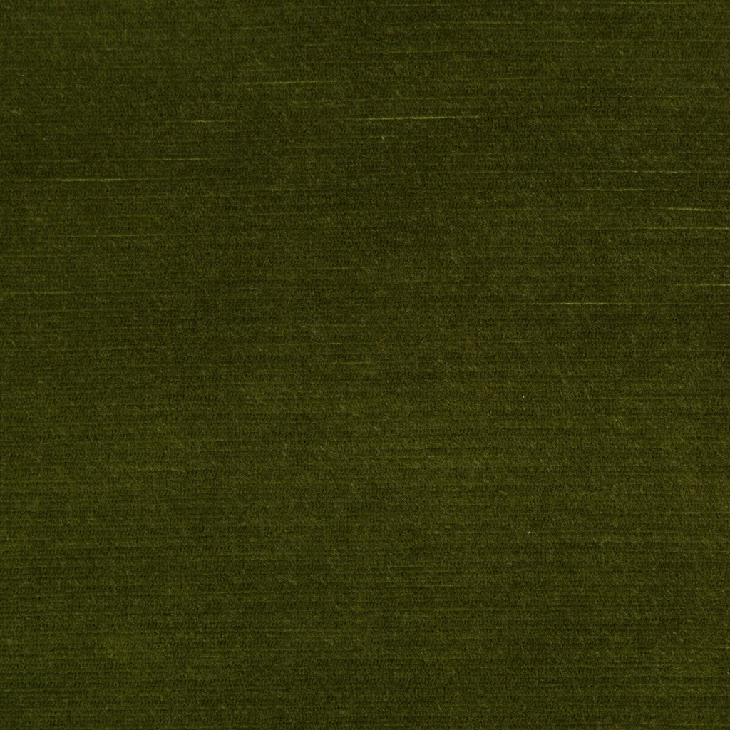 Samples and Purchasing available for Gemma Velvet - Moss Olive Green By Lee Jofa | Gemma Performance Velvet | Solid Upholstery Velvet at Designer Wallcoverings and Fabrics