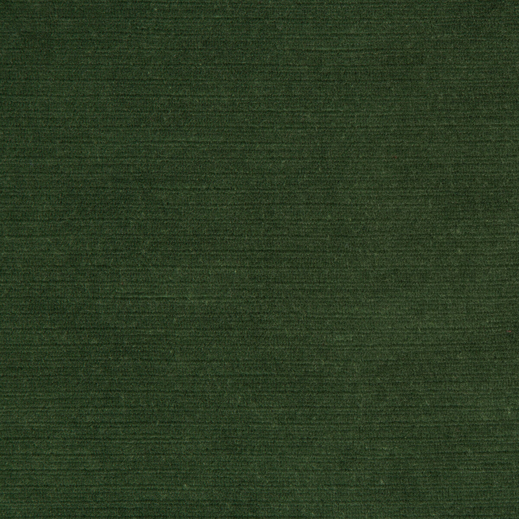 Samples and Purchasing available for Gemma Velvet - Lichen Green By Lee Jofa | Gemma Performance Velvet | Solid Upholstery Velvet at Designer Wallcoverings and Fabrics