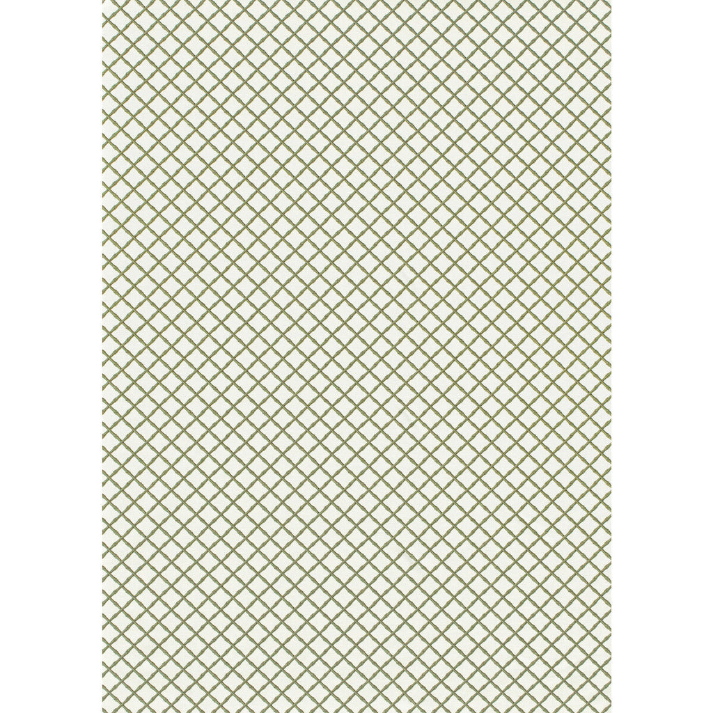 Samples and Purchasing available for Bamboo Trellis - Sage Sage By Lee Jofa | Paolo Moschino Garden Ii | Lattice/Scrollwork Multipurpose Print at Designer Wallcoverings and Fabrics