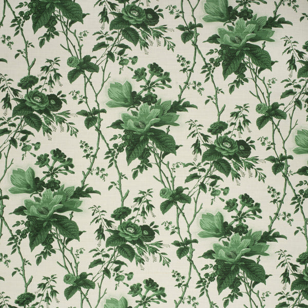 De La Tour - Paolos Green Green By Lee Jofa | Paolo Moschino Fabrics |Botanical & Floral  Multipurpose Print