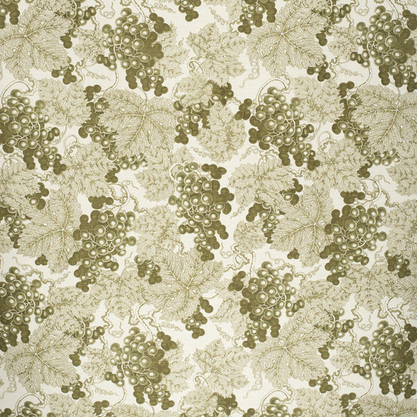 Farringdon - Green Green By Lee Jofa | Paolo Moschino Fabrics |Botanical & Floral  Multipurpose Print