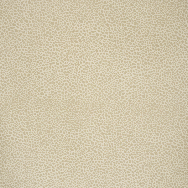 Safari Cotton - Light Taupe Taupe By Lee Jofa | Paolo Moschino Fabrics |Animal/Insects Animal Skins Multipurpose Print
