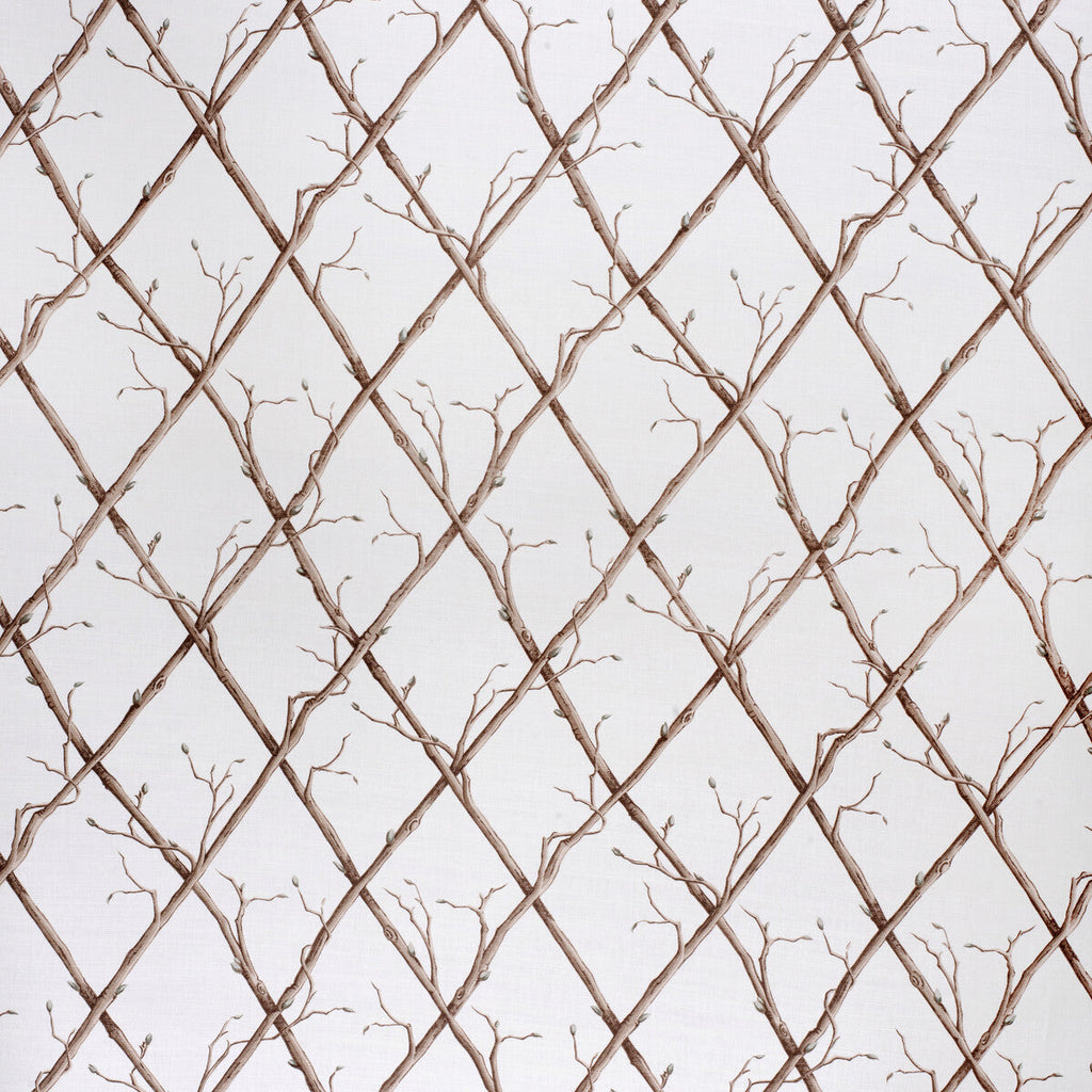 Samples and Purchasing available for Twig Trellis - Brown/White Beige By Lee Jofa | Paolo Moschino Fabrics |Botanical & Floral  Multipurpose Print at Designer Wallcoverings and Fabrics