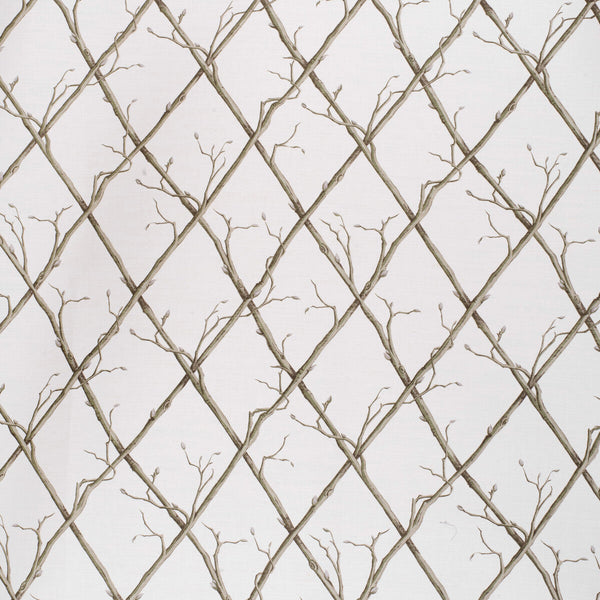 Twig Trellis - Green/White Green By Lee Jofa | Paolo Moschino Fabrics |Botanical & Floral  Multipurpose Print