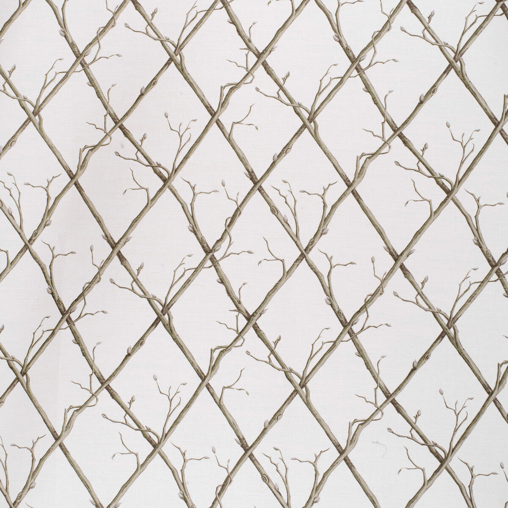 Samples and Purchasing available for Twig Trellis - Green/White Green By Lee Jofa | Paolo Moschino Fabrics |Botanical & Floral  Multipurpose Print at Designer Wallcoverings and Fabrics