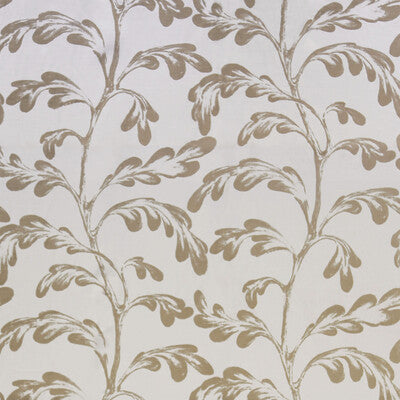 Ava Nivelles Oyster - Taupe Taupe By Lee Jofa | Paolo Moschino Fabrics |Botanical & Floral  Multipurpose Print