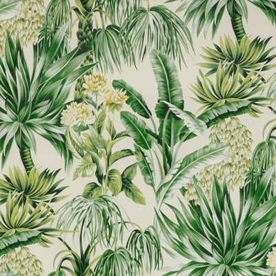 Caluya Print - Palm Green By Lee Jofa | Mindoro |Botanical & Floral  Multipurpose Print