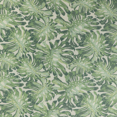 Samples and Purchasing available for Calapan Print - Green Green By Lee Jofa | Mindoro |Botanical & Floral Modern Multipurpose Print at Designer Wallcoverings and Fabrics