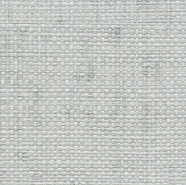 Authenticity Picture of Dorian Gray - Light Gray Commercial Wallcovering | Koroseal