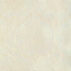 Samples and Purchasing available for Hayes Embroidery - Ivory Ivory By Lee Jofa | Bunny Williams Arcadia | Damask Drapery Embroidery at Designer Wallcoverings and Fabrics