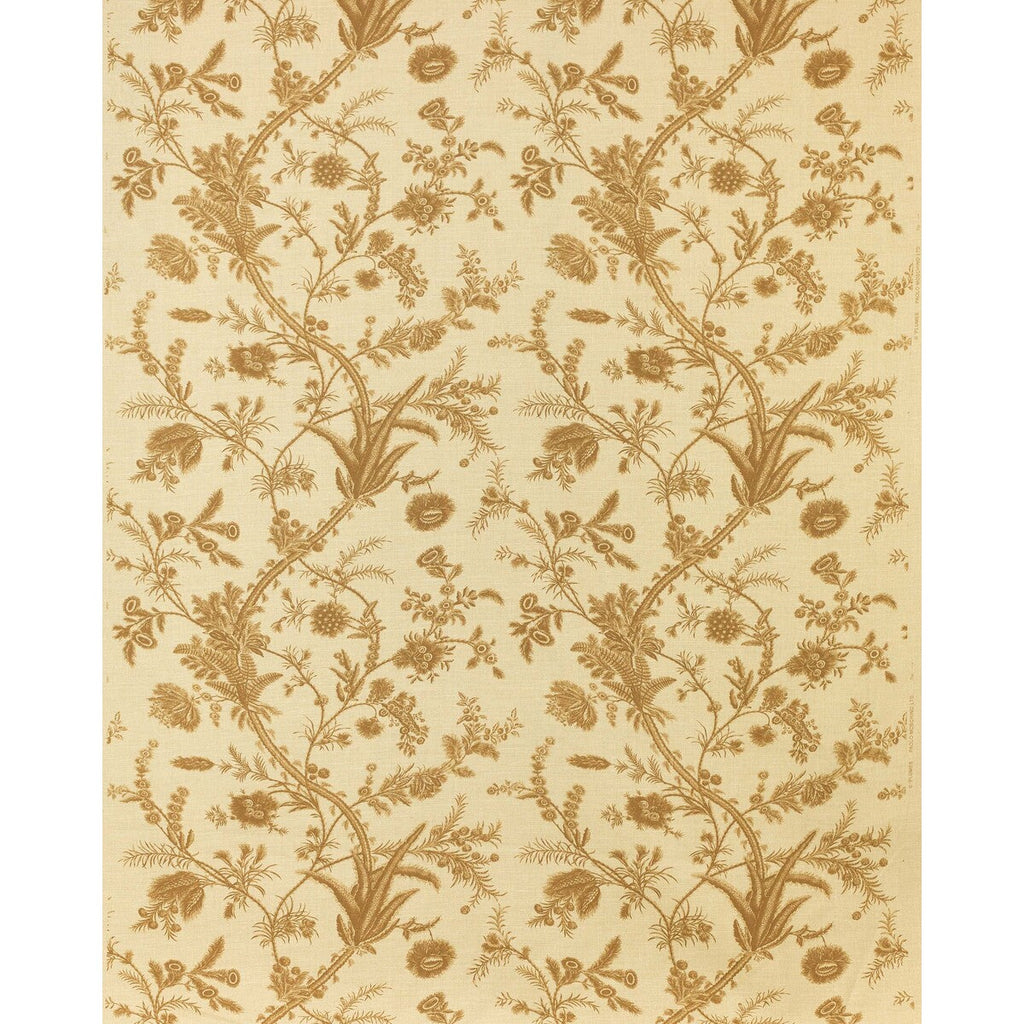 Samples and Purchasing available for Plumes - Caramel Wheat By Lee Jofa | Paolo Moschino Persepolis |Botanical & Floral  Multipurpose Print at Designer Wallcoverings and Fabrics