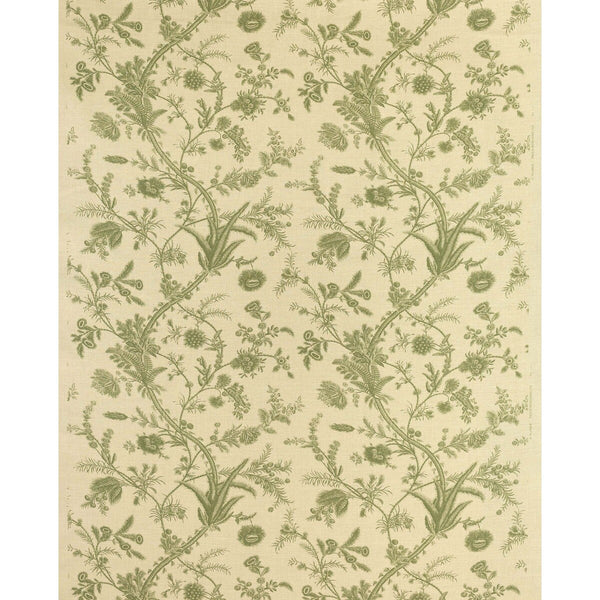 Plumes - Green Green By Lee Jofa | Paolo Moschino Persepolis |Botanical & Floral  Multipurpose Print