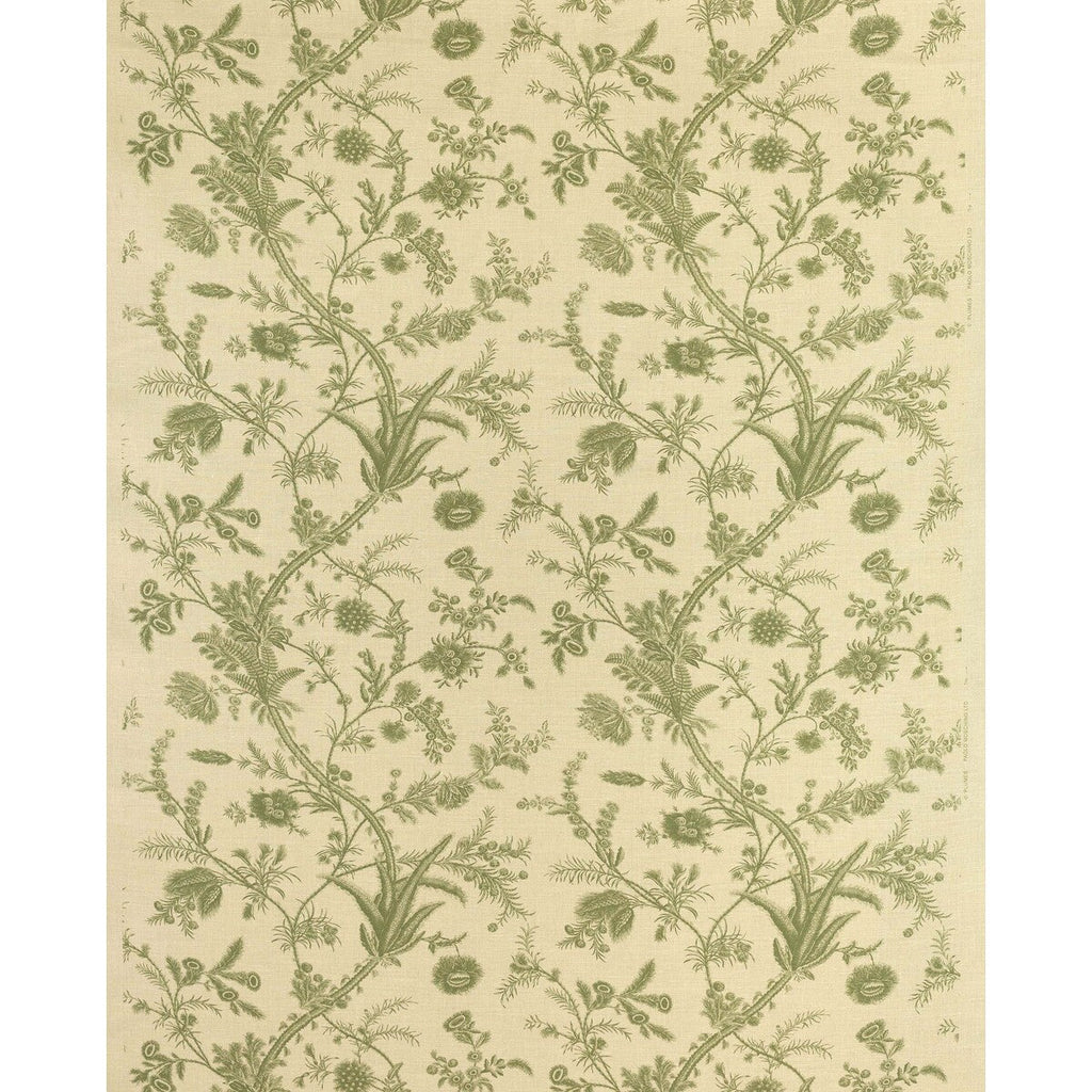 Samples and Purchasing available for Plumes - Green Green By Lee Jofa | Paolo Moschino Persepolis |Botanical & Floral  Multipurpose Print at Designer Wallcoverings and Fabrics