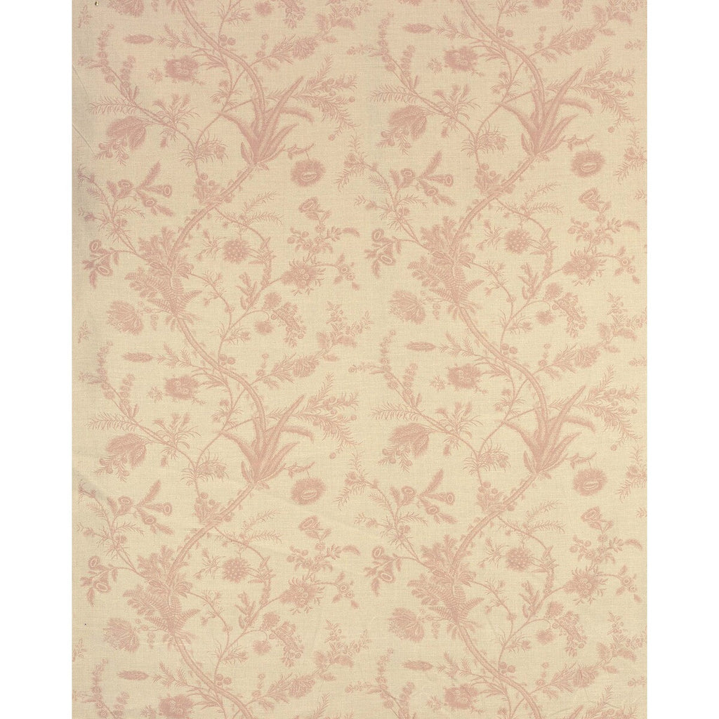 Samples and Purchasing available for Plumes - Antique Pink Pink By Lee Jofa | Paolo Moschino Persepolis |Botanical & Floral  Multipurpose Print at Designer Wallcoverings and Fabrics