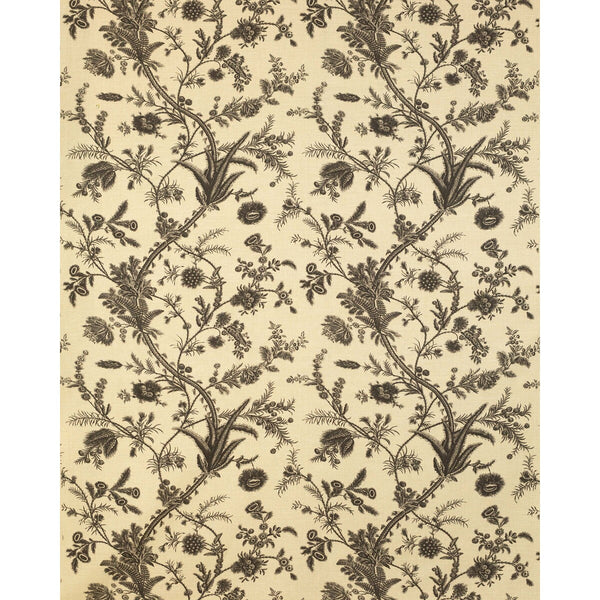 Plumes - Black Black By Lee Jofa | Paolo Moschino Persepolis |Botanical & Floral  Multipurpose Print