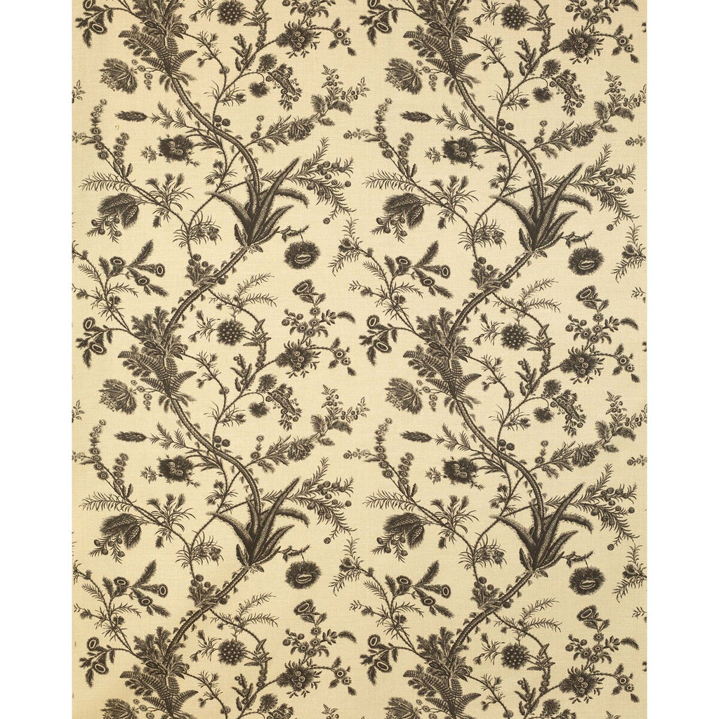 Samples and Purchasing available for Plumes - Black Black By Lee Jofa | Paolo Moschino Persepolis |Botanical & Floral  Multipurpose Print at Designer Wallcoverings and Fabrics