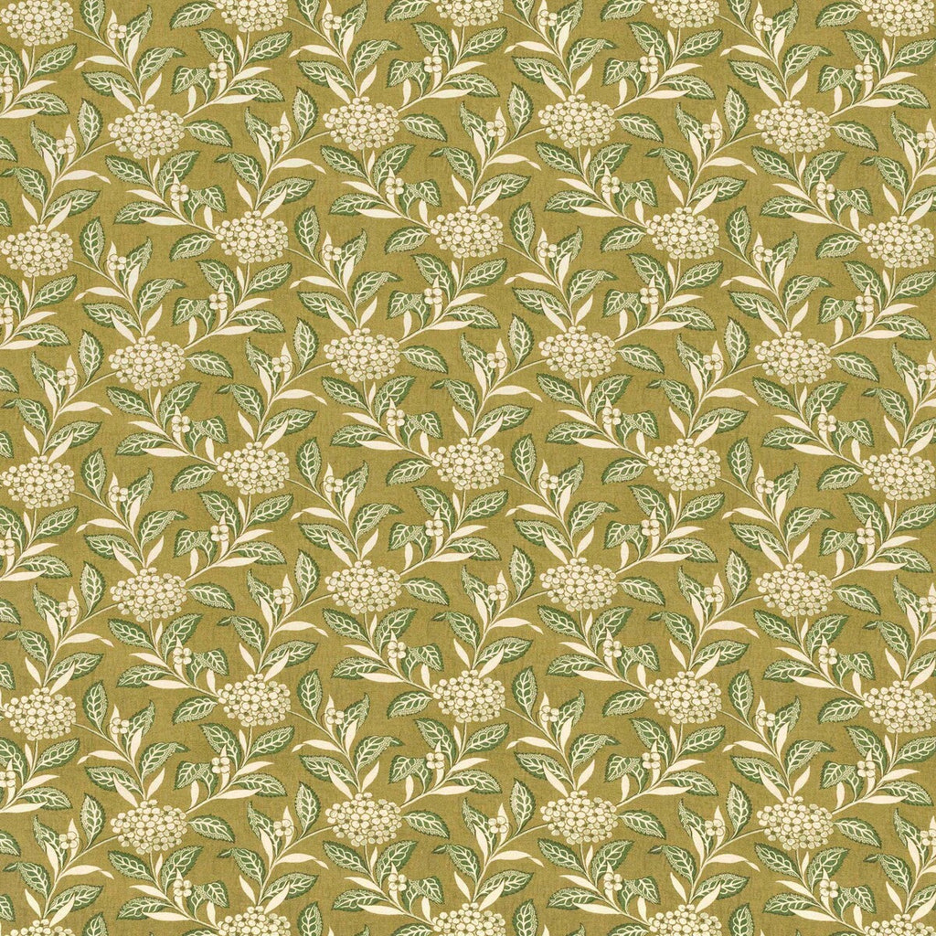 Samples and Purchasing available for Ortensia - Sage On Olive Sage By Lee Jofa | Paolo Moschino Garden Ii |Botanical & Floral  Multipurpose Print at Designer Wallcoverings and Fabrics