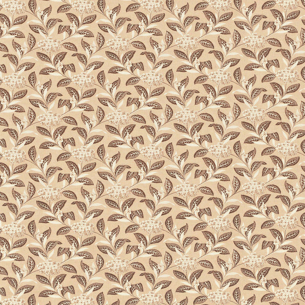 Ortensia - Brown On Blush Brown By Lee Jofa | Paolo Moschino Garden Ii |Botanical & Floral  Multipurpose Print
