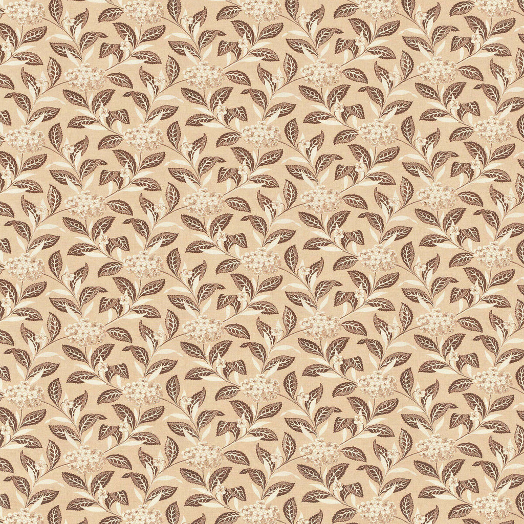Samples and Purchasing available for Ortensia - Brown On Blush Brown By Lee Jofa | Paolo Moschino Garden Ii |Botanical & Floral  Multipurpose Print at Designer Wallcoverings and Fabrics