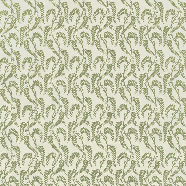 Wisteria - Sage On White Sage By Lee Jofa | Paolo Moschino Garden Ii |Botanical & Floral  Multipurpose Print