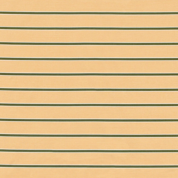 Horizon Stripe - Dkgreenblush Salmon By Lee Jofa | Paolo Moschino 2024 | Stripes Multipurpose Print