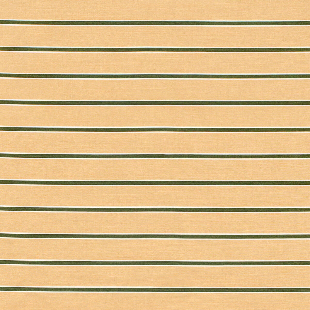 Samples and Purchasing available for Horizon Stripe - Dkgreenblush Salmon By Lee Jofa | Paolo Moschino 2024 | Stripes Multipurpose Print at Designer Wallcoverings and Fabrics