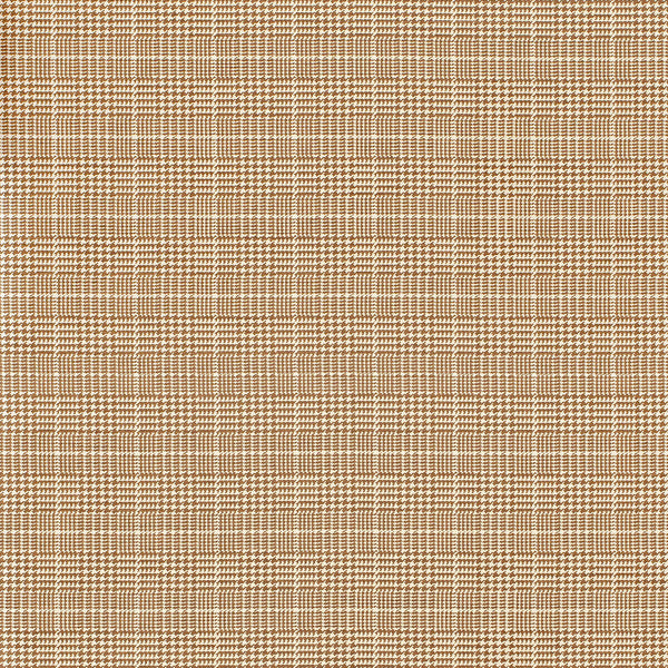 Pied De Poule - Mid Brown Brown By Lee Jofa | Paolo Moschino 2024 | Check/Houndstooth Multipurpose Print