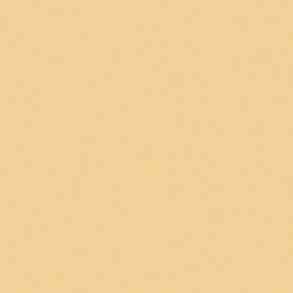 Nuova Vita Linen - Sand Beige By Lee Jofa | Paolo Moschino 2024 | Solid Upholstery