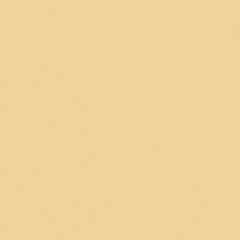 Samples and Purchasing available for Nuova Vita Linen - Sand Beige By Lee Jofa | Paolo Moschino 2024 | Solid Upholstery  at Designer Wallcoverings and Fabrics