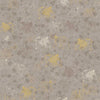 Baranasi Taupe, Sample / Vinyl