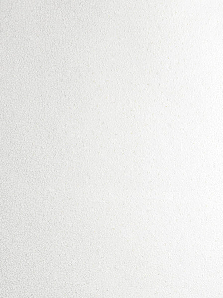 Fentucci Mica Texture Wallpaper - Contemporary Abstract - Metallic Pearl & Champagne | Fentucci