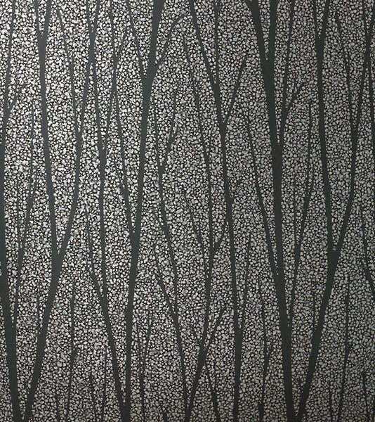 Malibu Birch Trail Wallpaper - Contemporary Botanical - Gunmetal & Charcoal | Malibu Wallpaper